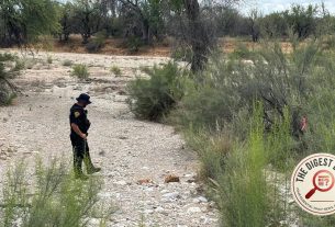 The Desert Keeps Its Dead: Search for TV Host's Missing Mother Unearths Century-Old Skeleton