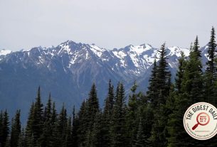 A Tent, A Sleeping Bag, and 26 Years of Silence: Sol Duc River Skeleton Finally Named