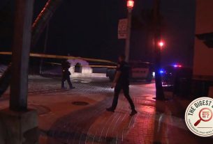 Grim Discovery on Hollywood Beach: Flight Attendant Killed in Suspected Boat Strike
