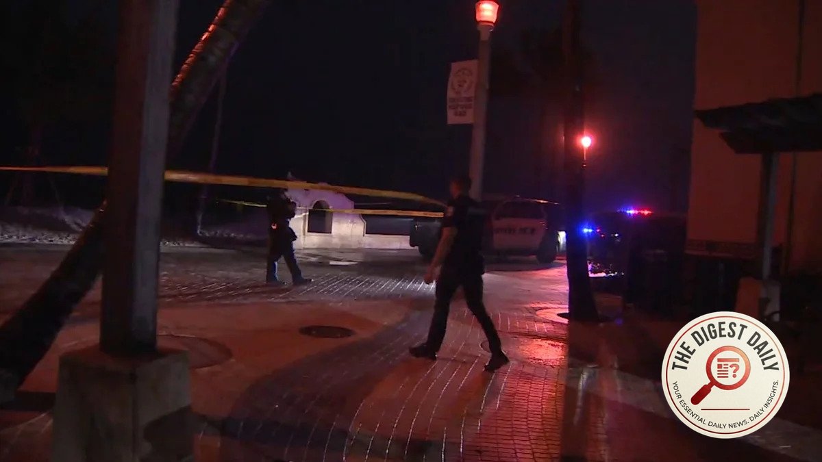 Grim Discovery on Hollywood Beach: Flight Attendant Killed in Suspected Boat Strike