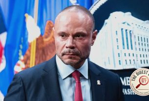 Bongino: Democrats Ditched Platner for Power, Not Morals, After Rape Claims