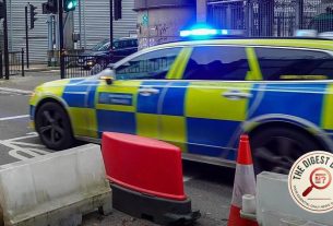 Cops Bag Over 300 in Massive Street-Level Immigration and Smuggling Sweep