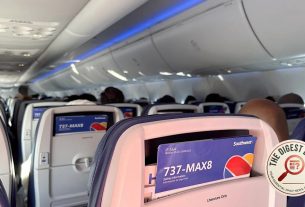 Grounded: ICE Snatches Southwest Flight Attendant on the Job