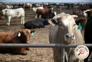 Holy Cow: Industry Skeptical Over USDA's Impossible Beef Export Numbers