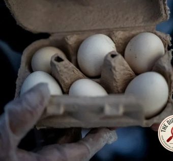 Texas Egg Recall: 1.6 Million Dozen Shells Flagged for Salmonella