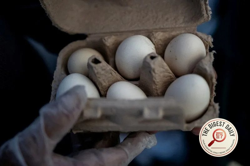 Texas Egg Recall: 1.6 Million Dozen Shells Flagged for Salmonella