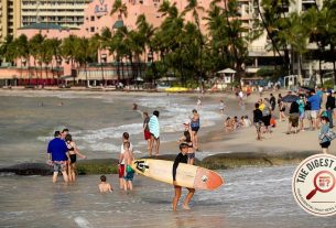 Tulsi Gabbard's brother charged in Waikiki hotel pool child-luring incident